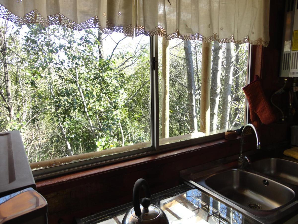 Cabañas Spa Bungalows Huarranchi Pucon Bagian luar foto